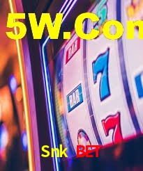 Explore as vantagens do Snk Bet: serviço profissional e confiabilidade